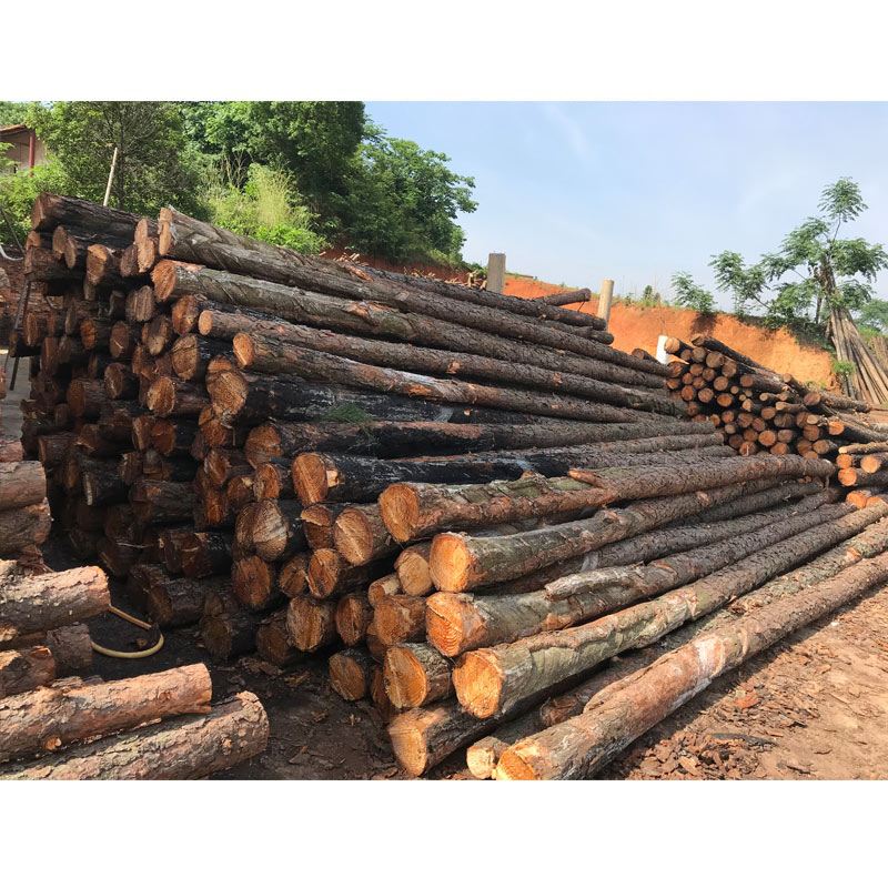 松木樁使用注意事項有哪些？