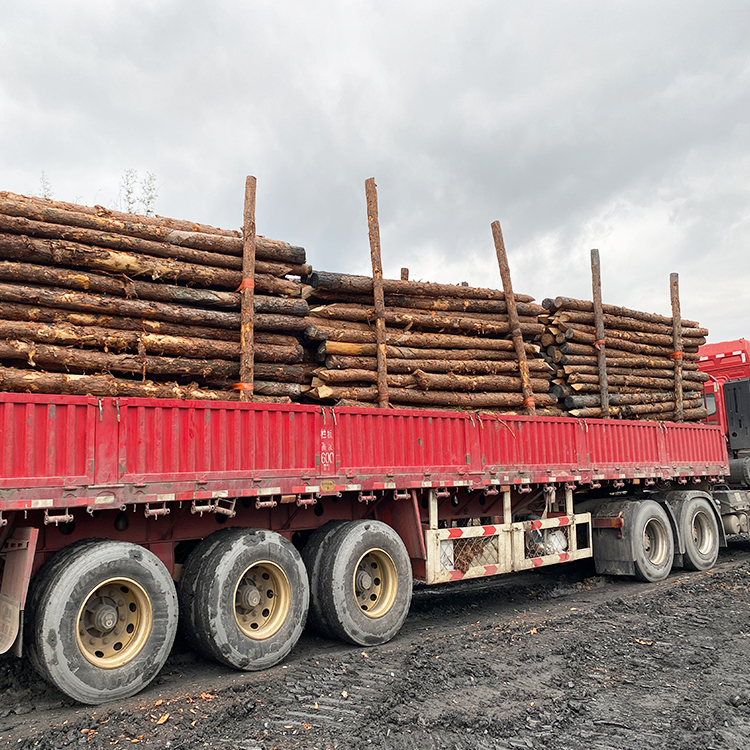 河道木樁報(bào)價(jià):河道(6米)松木木樁多少錢一米,原木樁多少錢?