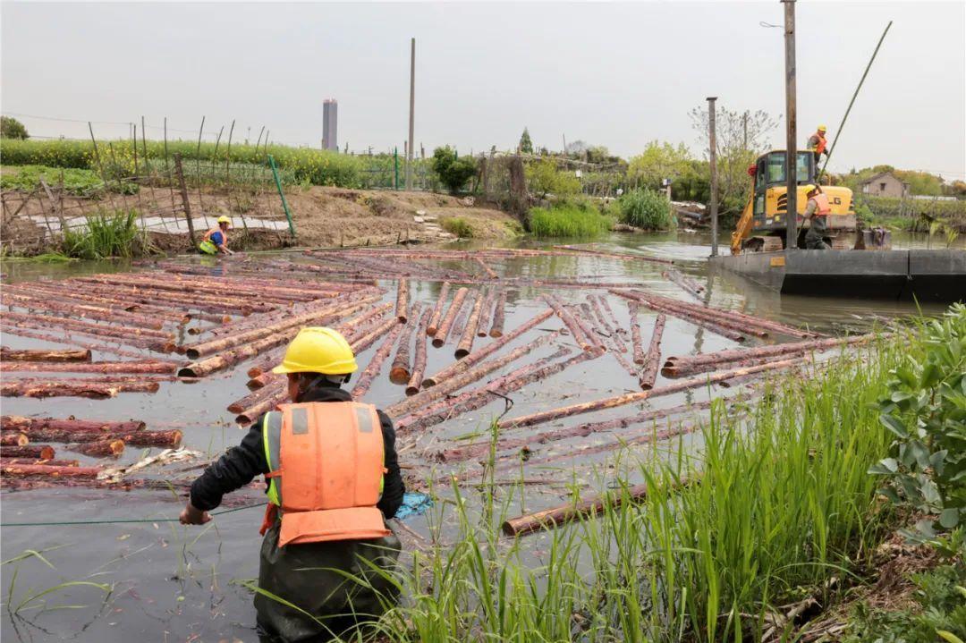 改善水環(huán)境!徐行122條段村級(jí)河道用木樁對(duì)河岸進(jìn)行加固整治