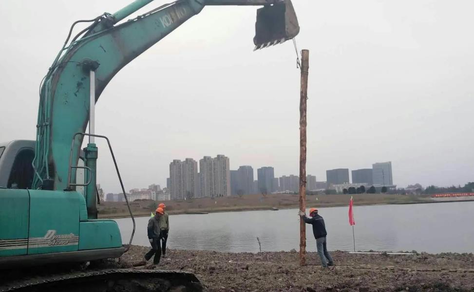 松木樁為什么要做質量驗收,松木樁施工質量驗收規范有哪些？