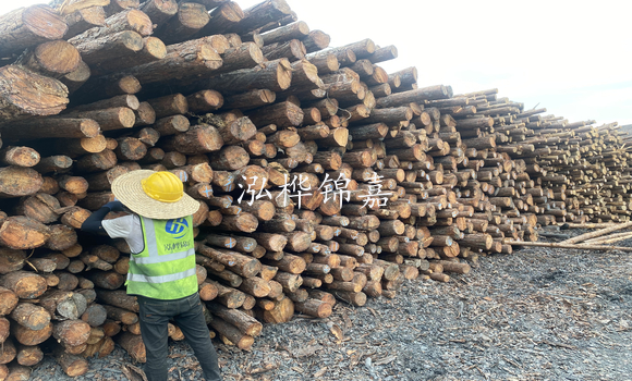 松木樁是什么，松木樁的用途有哪些-松木樁介紹