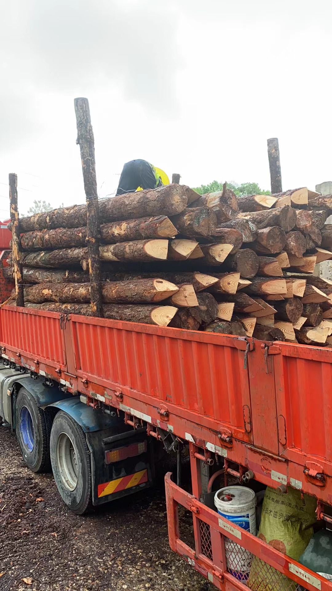 松木樁新手必備！快速掌握規范和要求