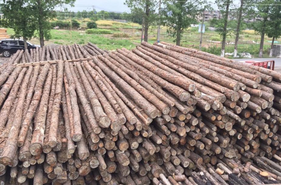 <a href=http://www.nhxyw.com/ target=_blank class=infotextkey>打樁木</a>