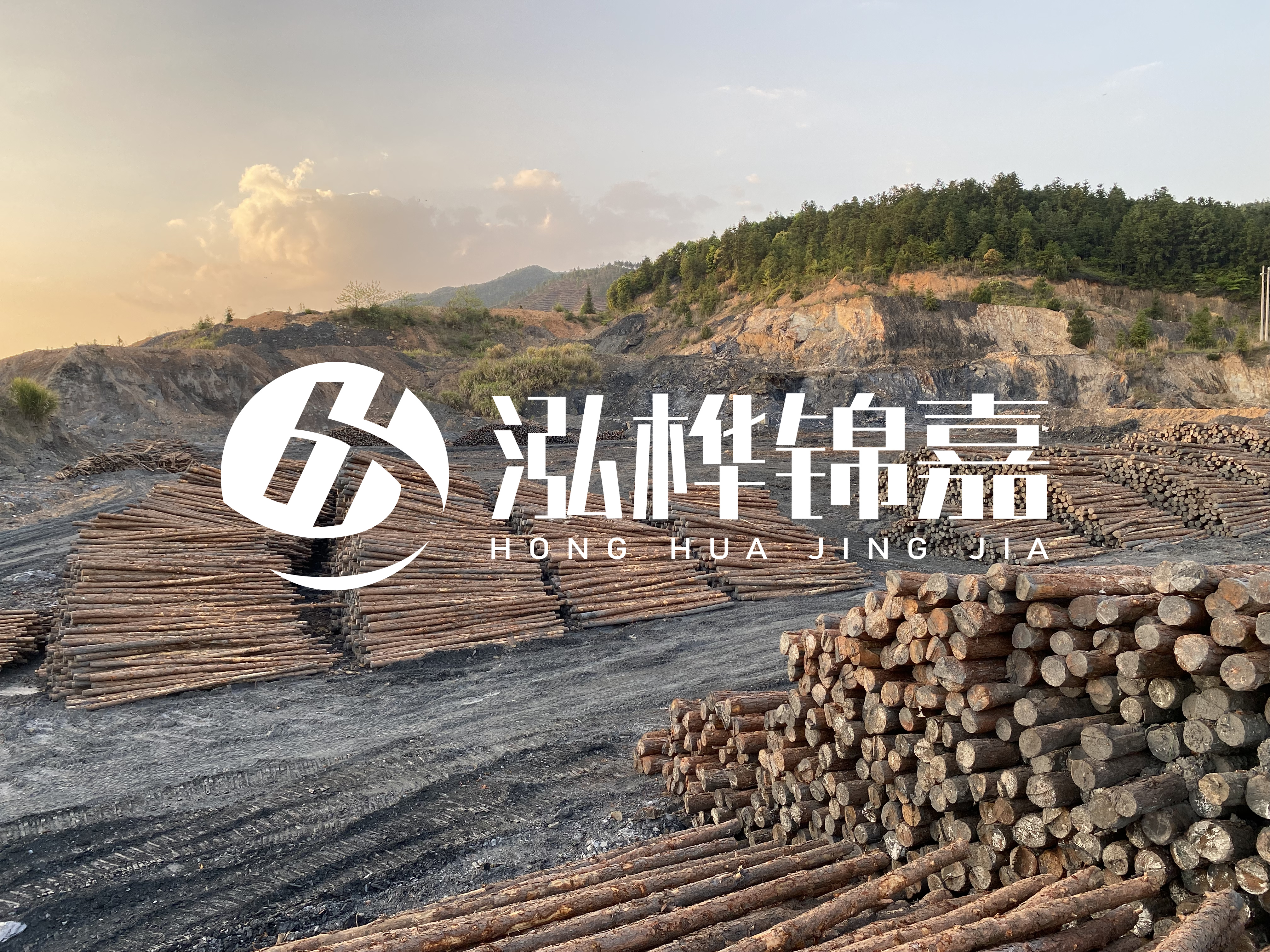 松木樁地基承載力怎么檢測?