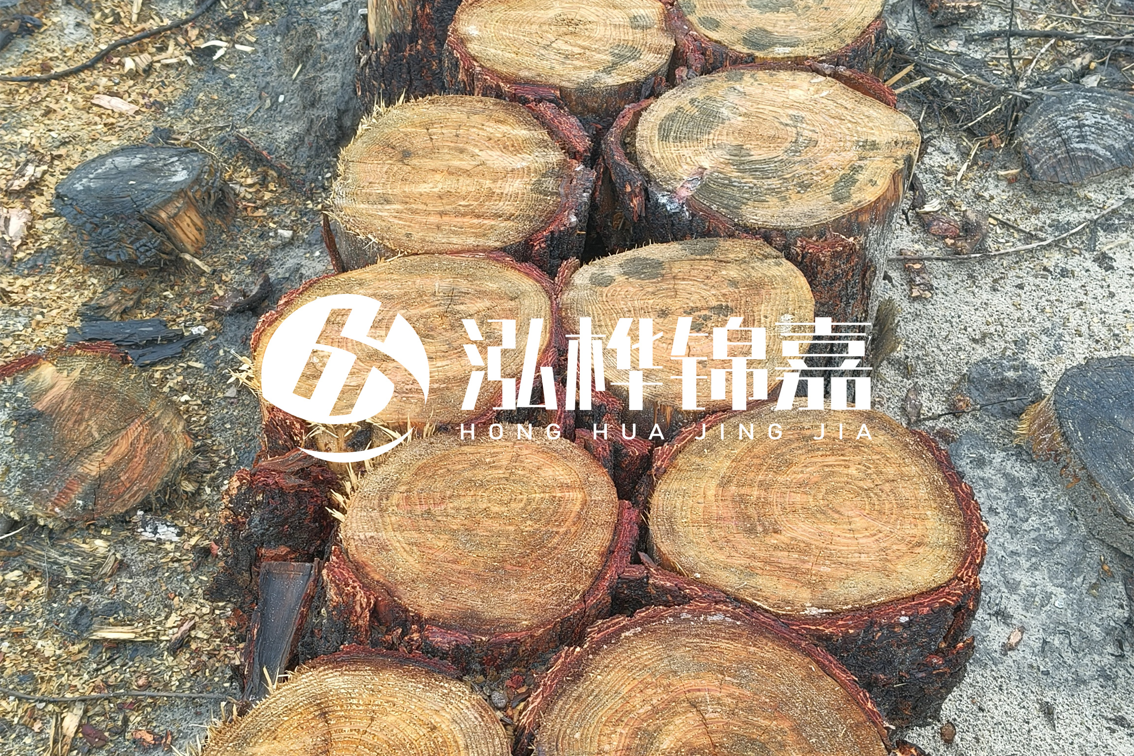 浙江臺州有清淤的公司嗎？浙江臺州有清淤施工隊嗎？