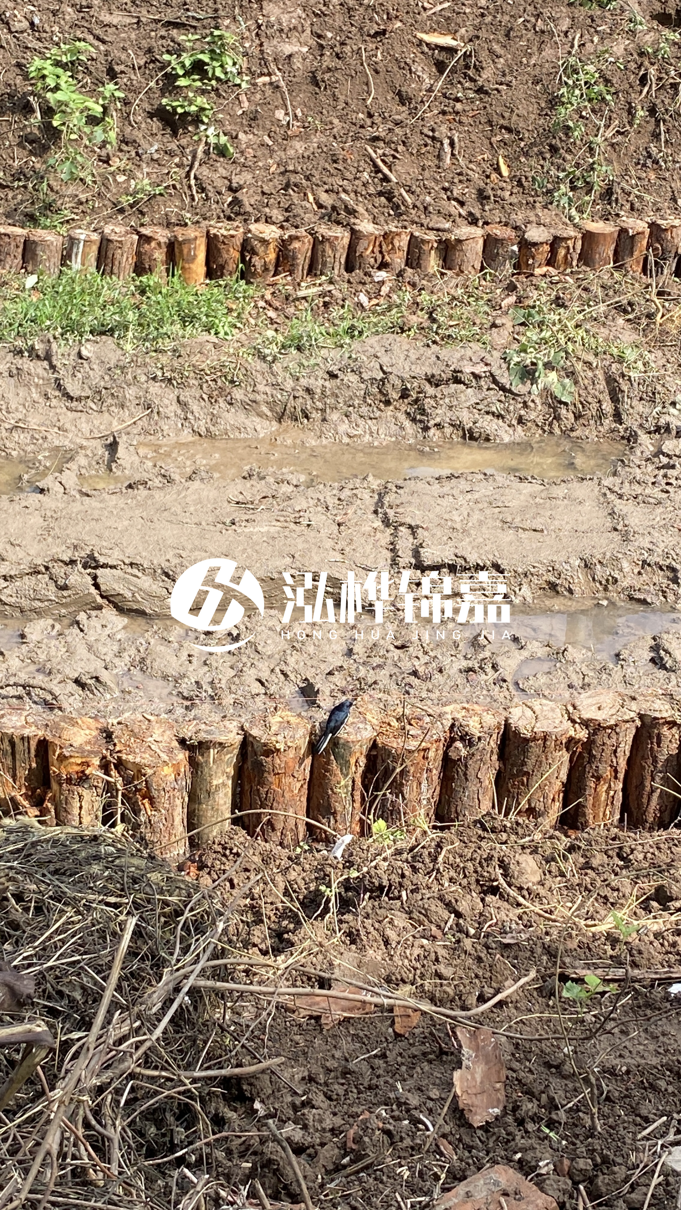 寧波河道清淤專業施工-治理河道對于老百姓有什么意義？