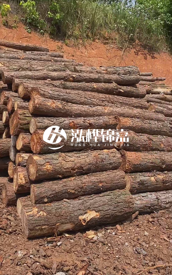 七臺河河道清淤專業施工-河道清淤的淤泥多久能干？