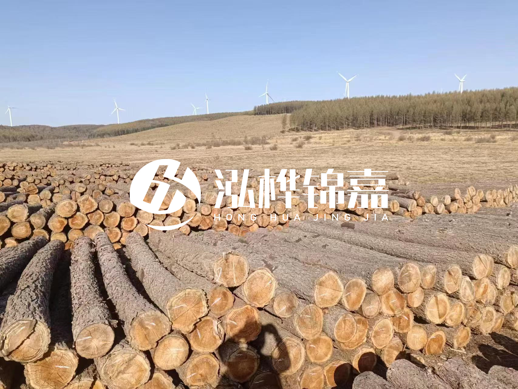 咸寧松木樁源頭廠家-哪里能買(mǎi)到質(zhì)量好的松木樁打樁木?