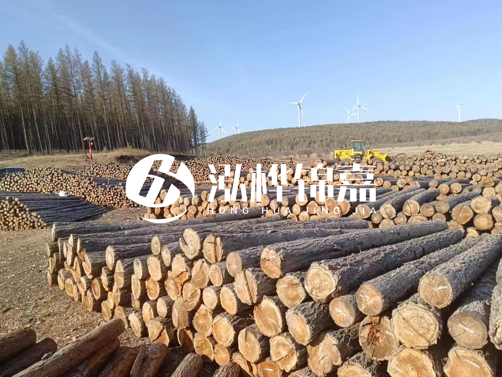 湘潭松木樁源頭廠家-松木樁與水泥樁的性價(jià)比對(duì)比如何?