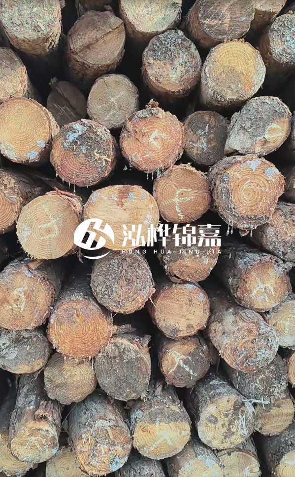 邵陽(yáng)松木樁源頭廠家-松木樁護(hù)岸適合哪些地理環(huán)境?