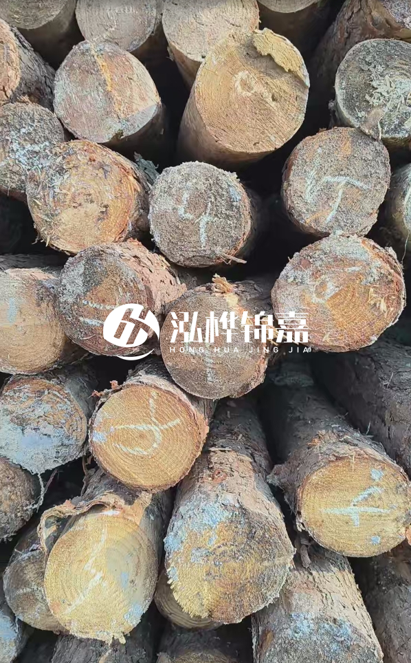 湛江松木樁源頭廠家-松木樁的直徑對河道打樁效果有何影響？