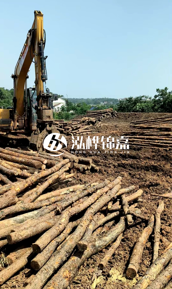 江門松木樁源頭廠家-河道木樁的防腐處理有哪些方法？