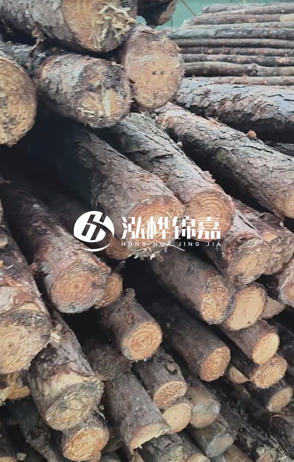 汕尾松木樁源頭廠家-松木樁在水中的耐久性如何？