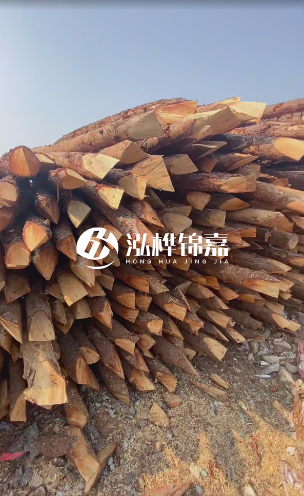 成都松木樁源頭廠家-松木樁價格5米多少錢?