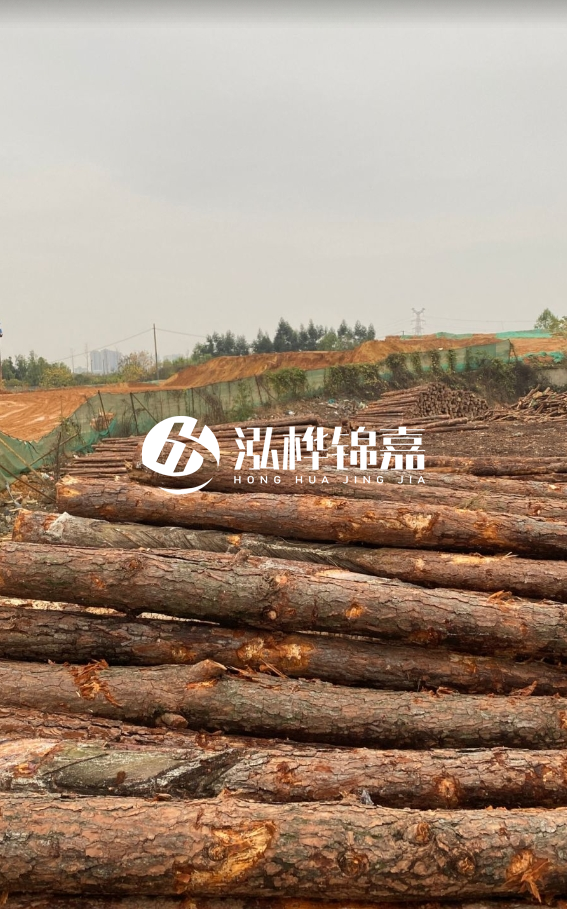 攀枝花松木樁源頭廠家-河道松木樁廠家聯系方式?