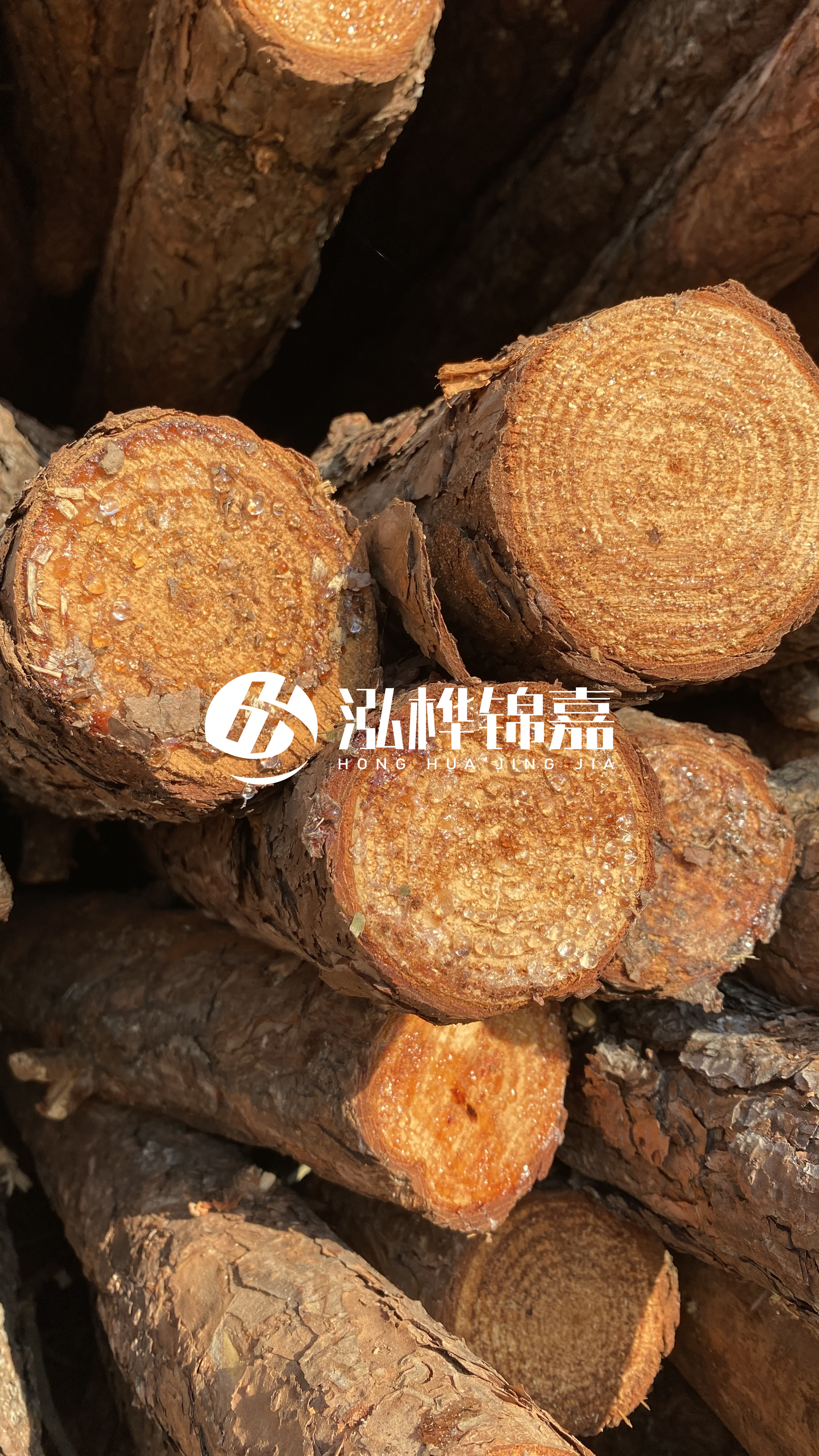 南充松木樁源頭廠家-木樁護(hù)坡優(yōu)缺點(diǎn)有哪些?