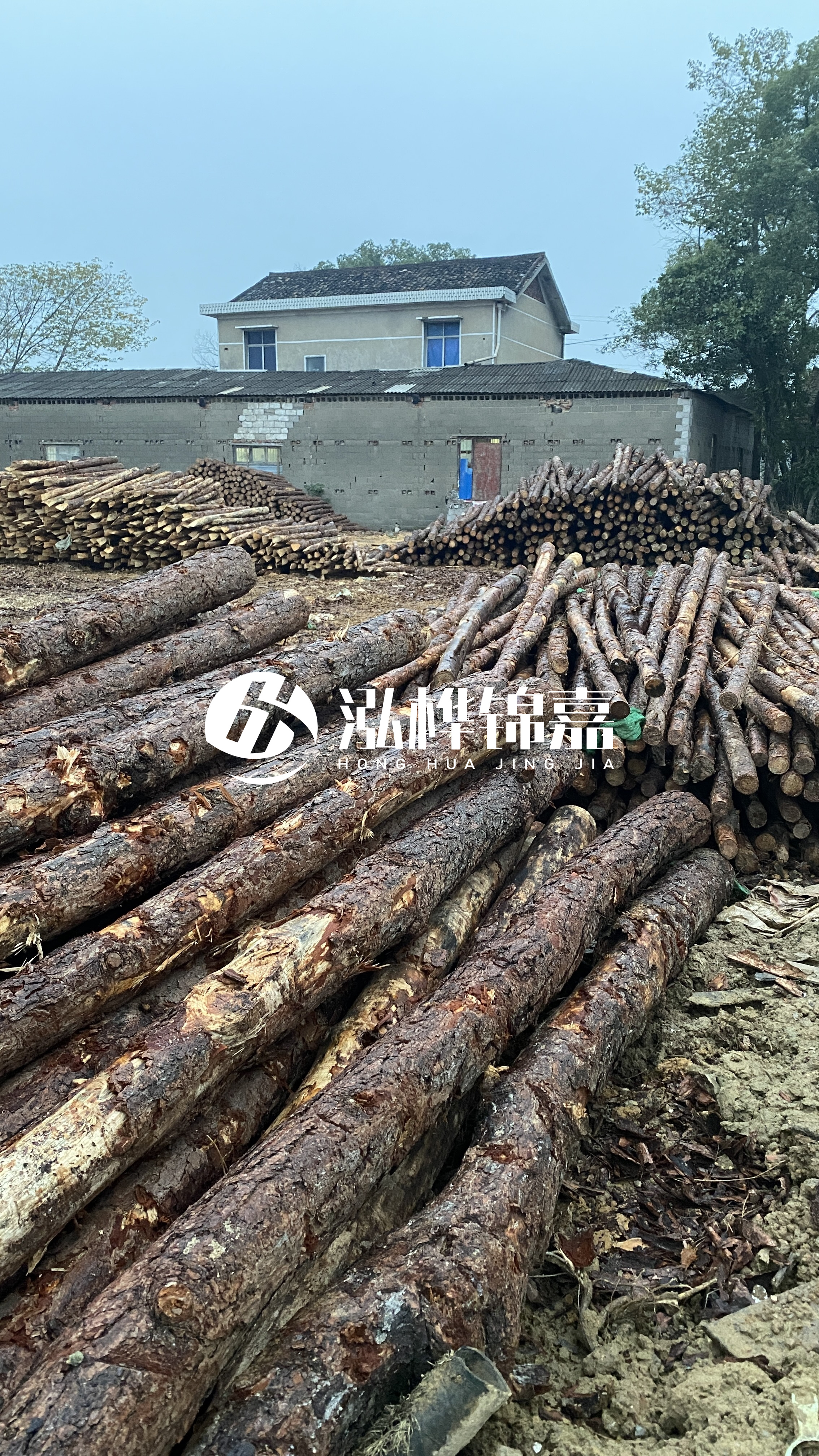 資陽(yáng)松木樁源頭廠家-工地松木樁的采購(gòu)渠道有哪些?