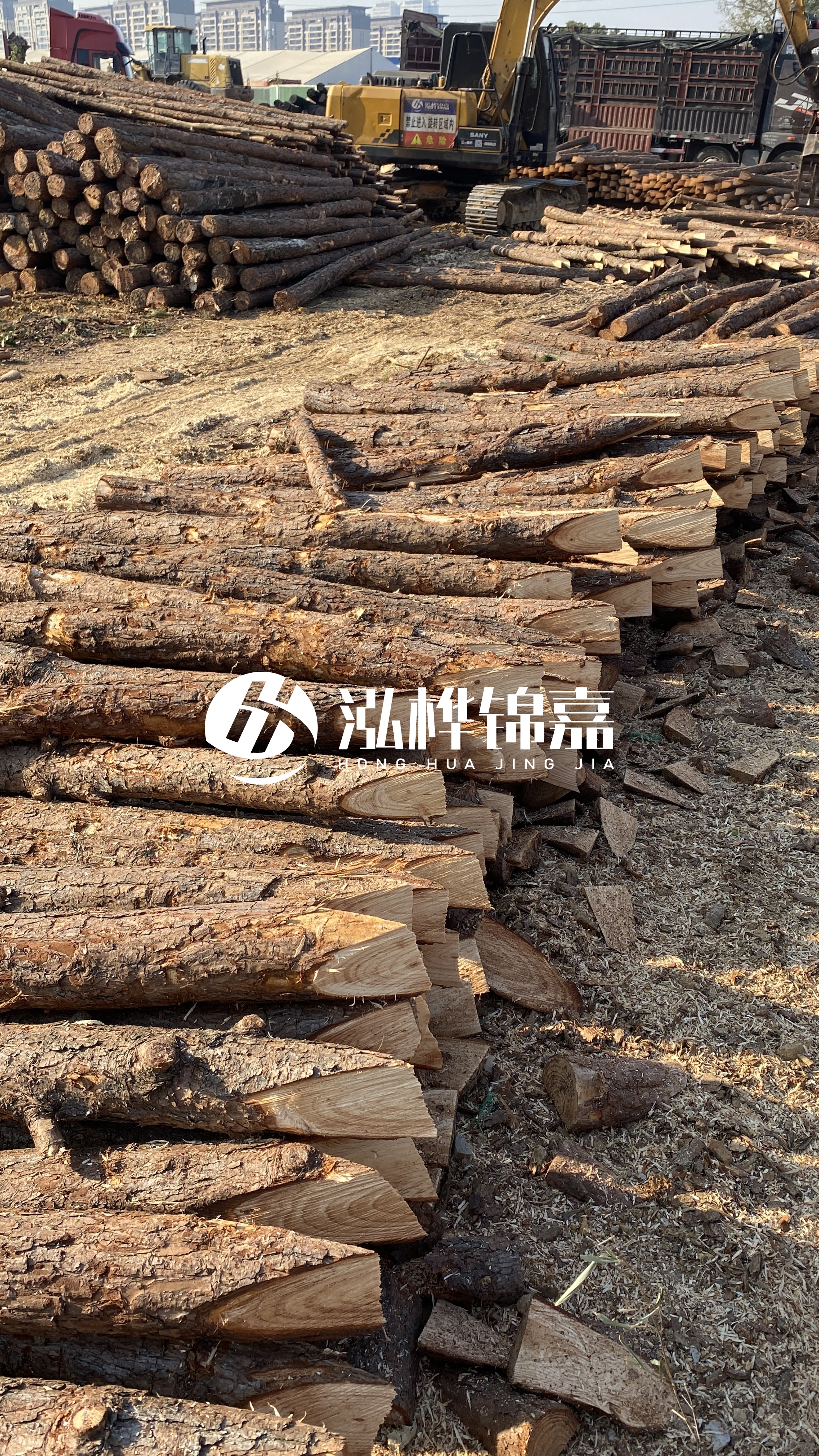 延安松木樁批發(fā)源頭廠家-杉木樁直徑按大頭算嗎?