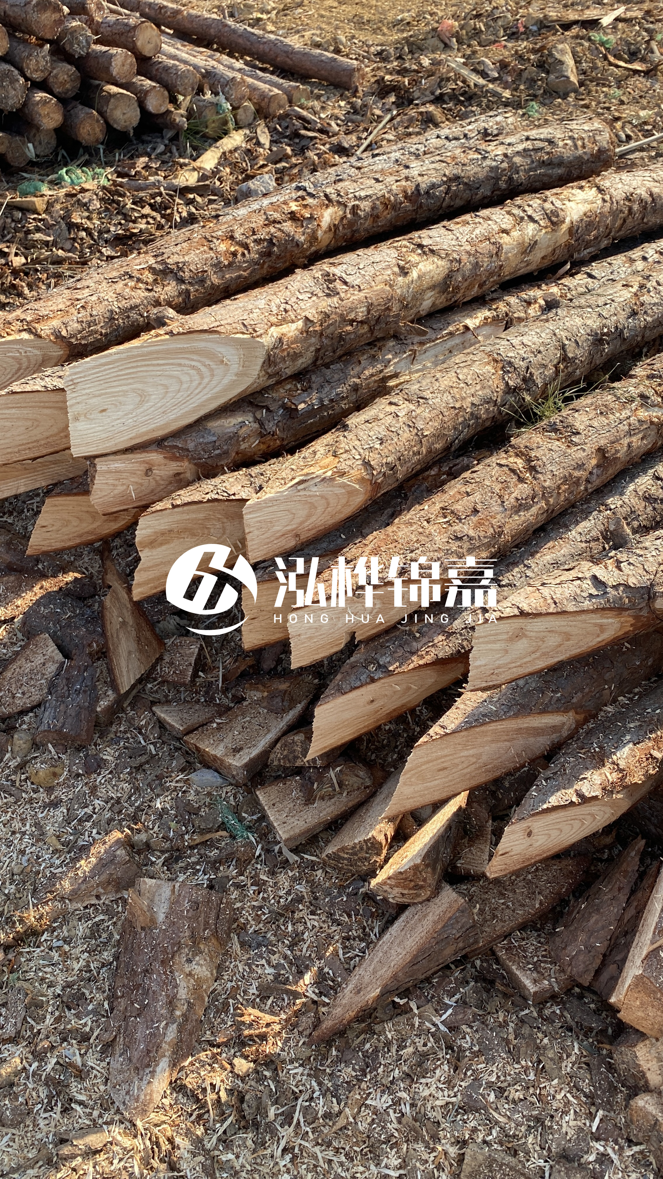 渭南松木樁批發(fā)源頭廠家-杉木樁4米小頭12公分大頭是多少?