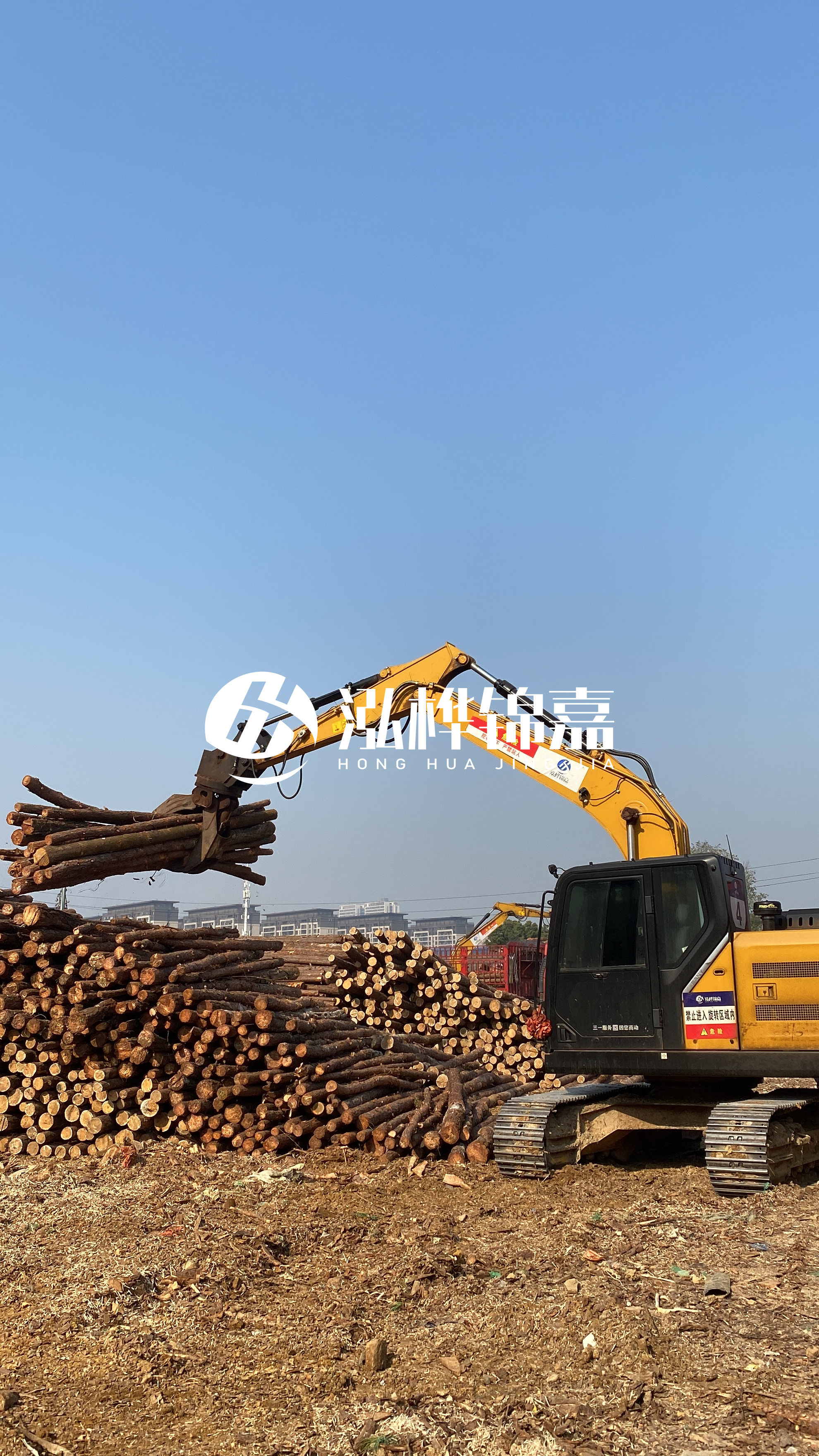 嘉峪關松木樁批發(fā)源頭廠家-6米杉木樁價格多少?