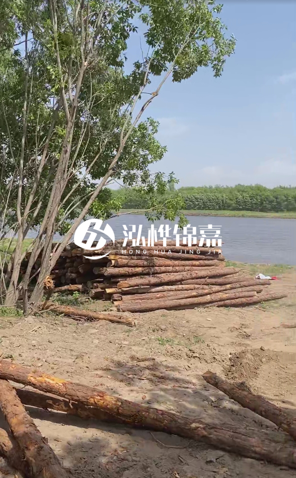 慶陽挖機打木樁專業施工-松木打樁過程中如何避免木材開裂?