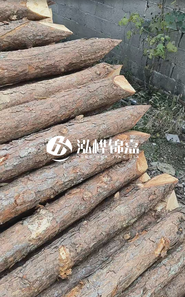 松木樁哪里能大量供應(yīng)？4米20公分松木樁價(jià)格是多少？