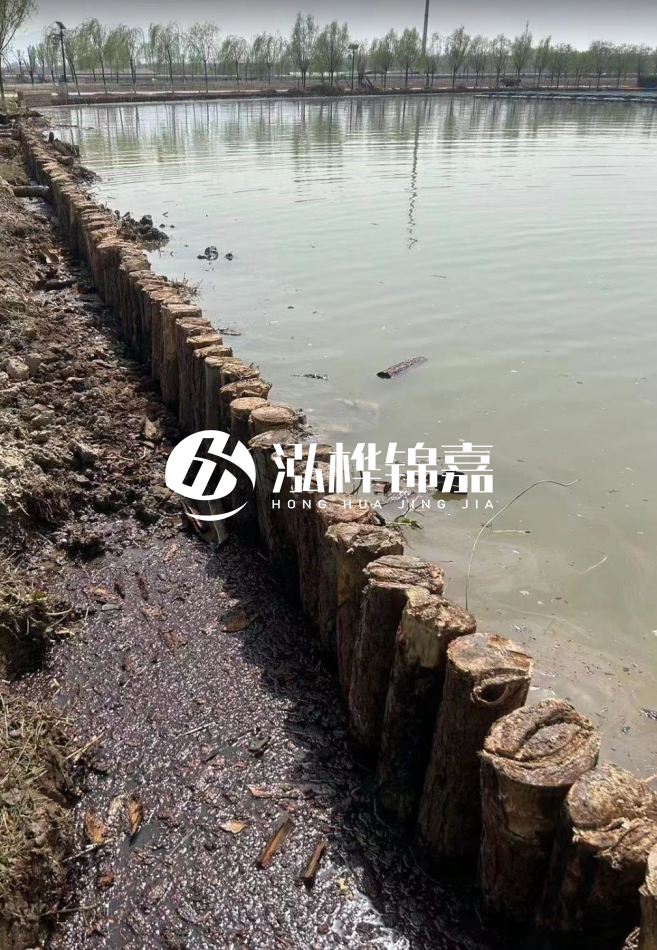 松木樁為什么要一根一根挨著打？秘密在這里！看完恍然大悟！