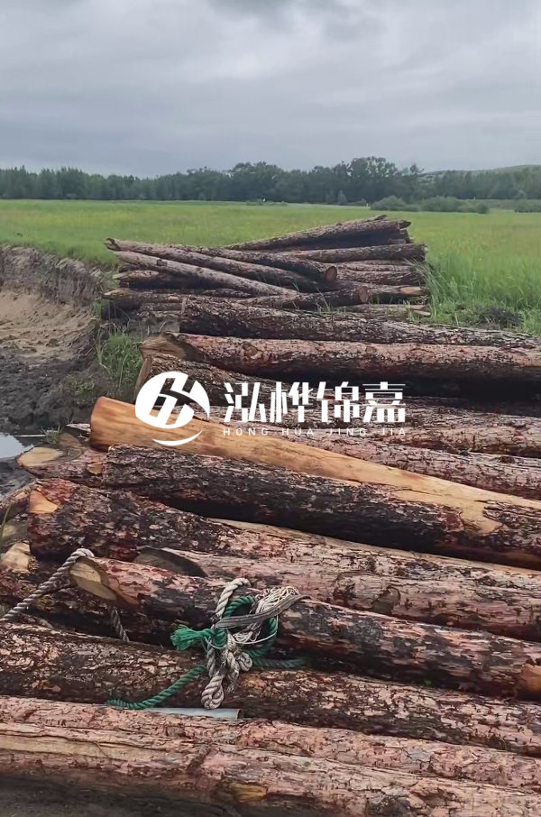 打樁木樁的選購標準是什么？材質(zhì)、尺寸與強度，哪些標準不能忽視？