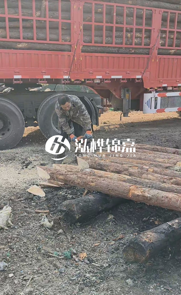 2米松木樁多少錢一根？15-20CM直徑價格是多少？