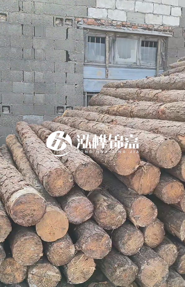 3米松木樁多少錢一根？14公分松木樁價格是多少？