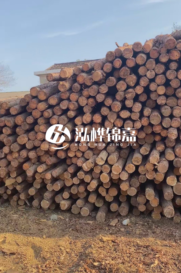 4米8-10公分松木樁大概多少錢一根？15公分價格又是多少？