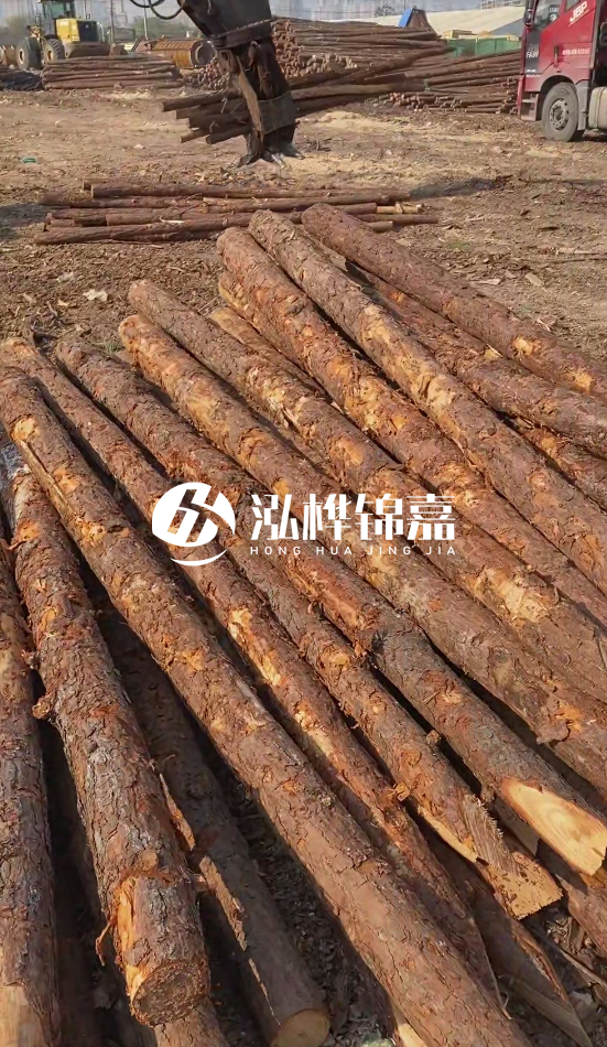 4.5米松木樁直徑14一根多少錢？5米14厘米多少錢？