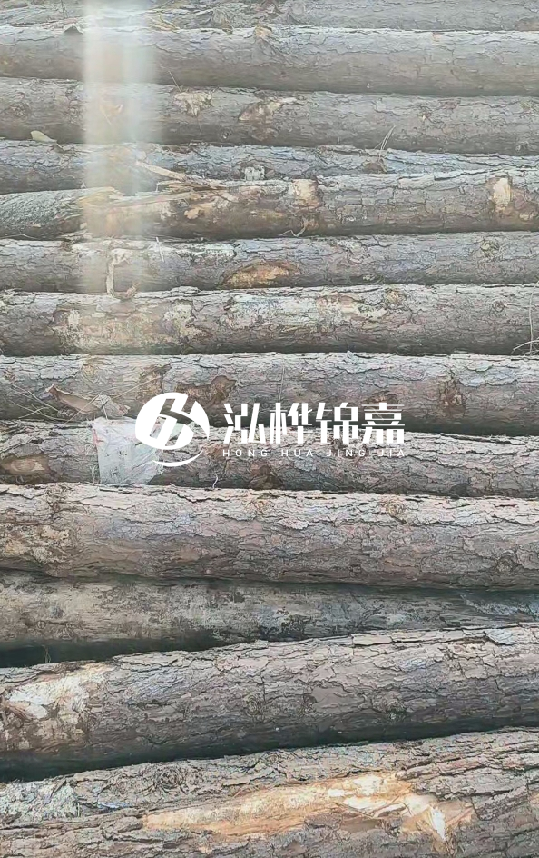 松木樁5米100mm一根多少錢-5米140mm多少錢？