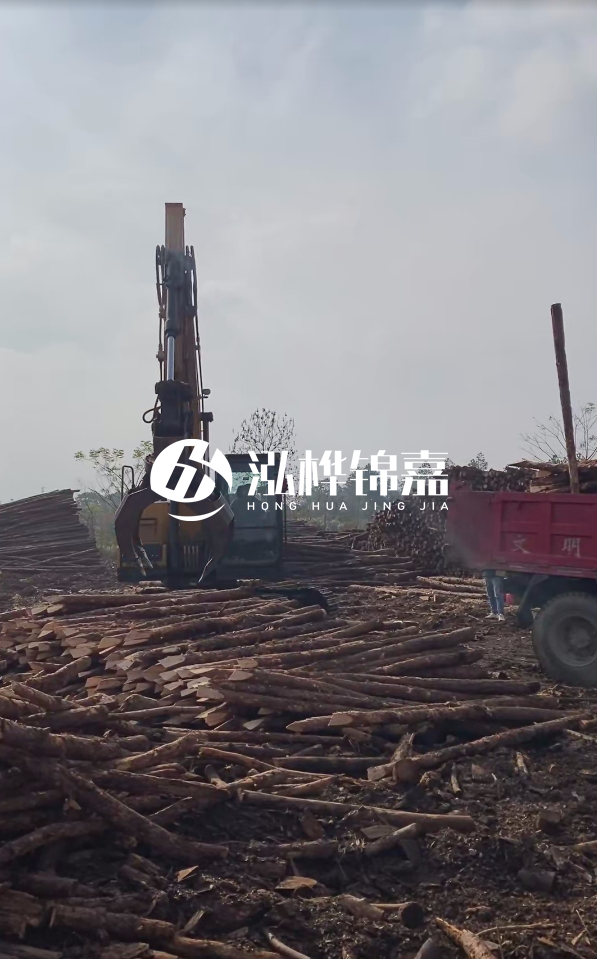 6米打樁木多少錢一根-6米10-15公分價格是多少？