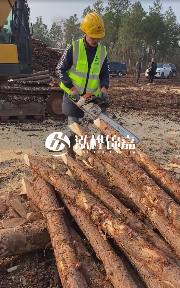 松木樁樁長(zhǎng)1.5米稍徑12多少錢一根？樁長(zhǎng)1.5米稍徑12大頭多少？