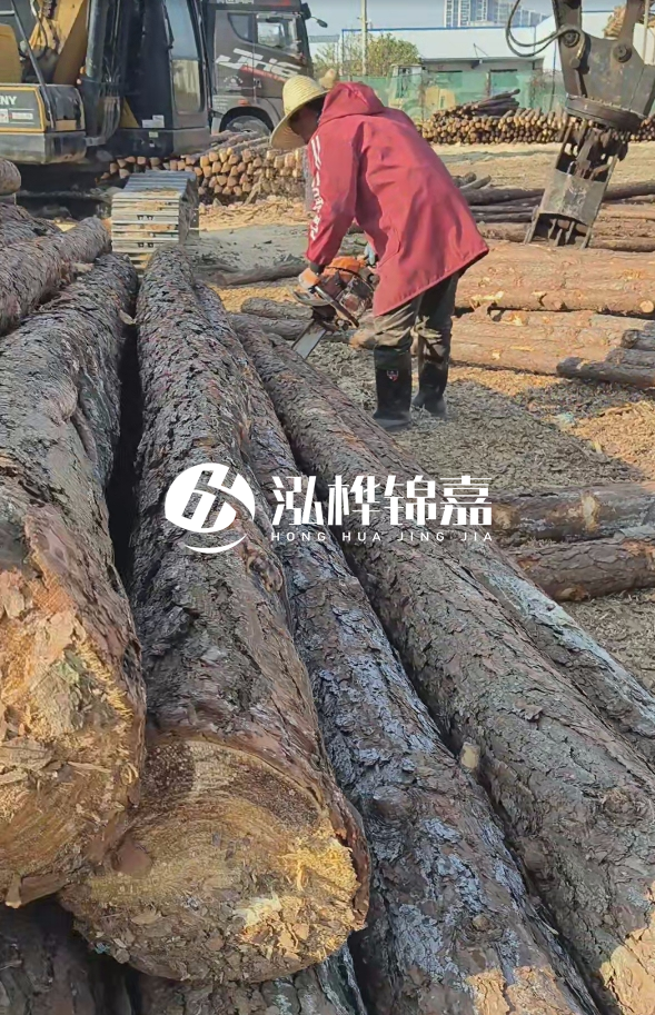 長(zhǎng)沙打樁木批發(fā)廠家在哪里？聯(lián)系方式是什么？