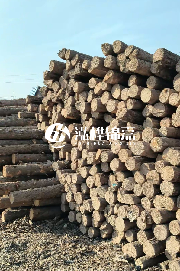 江西哪里有松木樁賣-4米12-14公分松木樁價(jià)格揭秘！