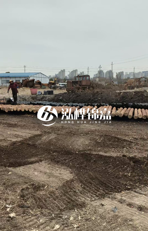 安徽打樁木材哪里買最好-5米直徑12杉木樁送到安徽多少錢？