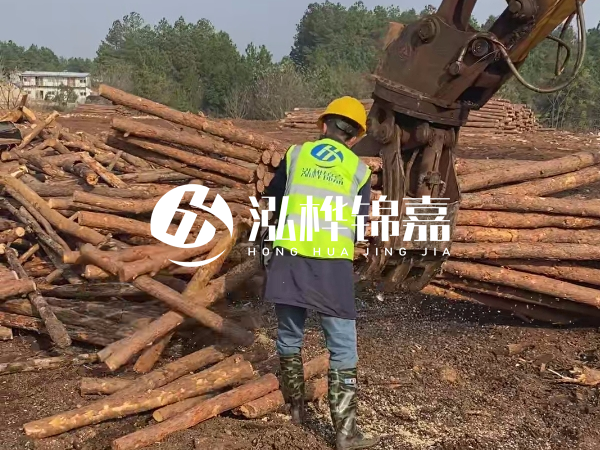 安徽松木樁選哪家-5米小頭10-12公分松木樁多少錢(qián)？