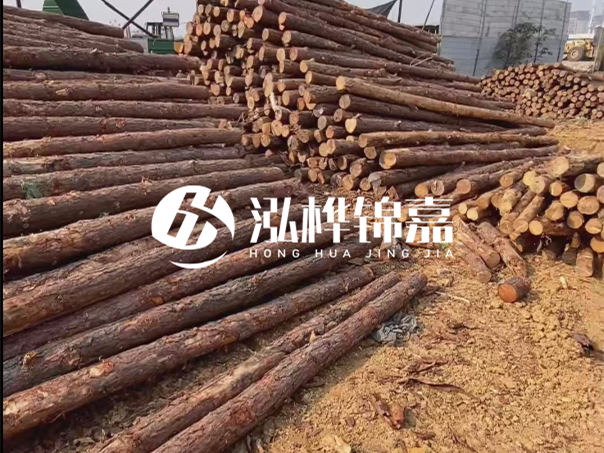 河道木樁施工遇到淤泥怎么辦？打多深才能防沖刷？