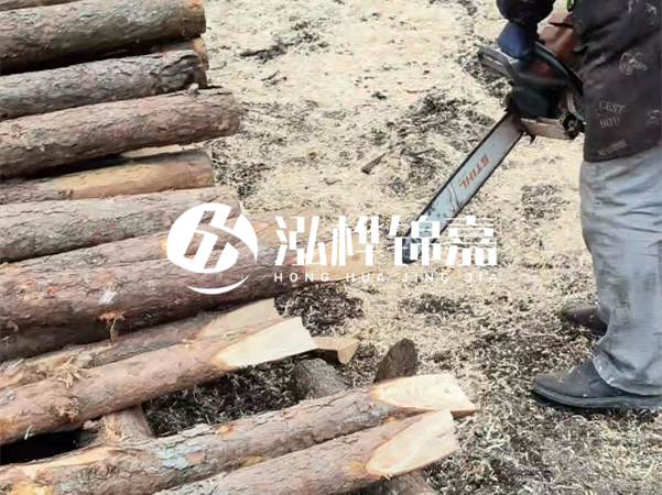 杉木樁批發(fā)廠(chǎng)家哪家好？產(chǎn)地直供渠道推薦！