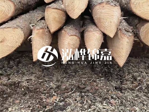 打樁木樁與鋼樁相比有哪些優(yōu)缺點(diǎn)？如何進(jìn)行后期維護(hù)？