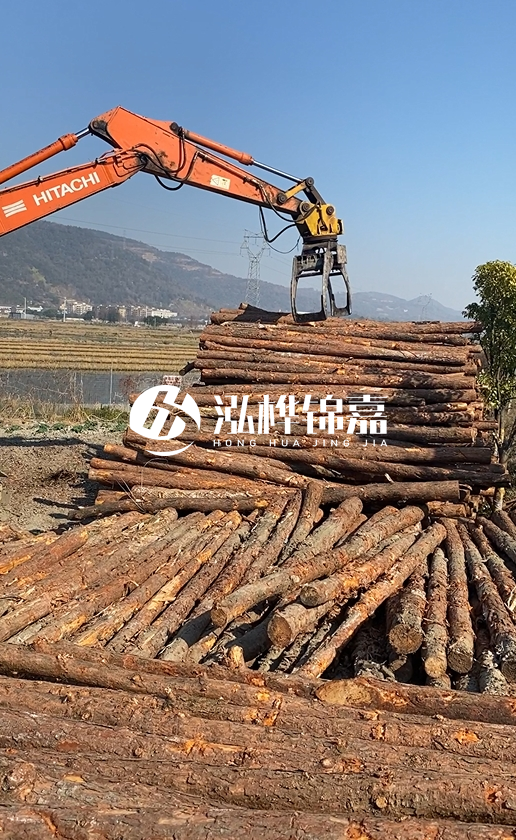 帶皮松木樁的防腐效果如何?和不帶皮松木樁價(jià)格差異有多大?