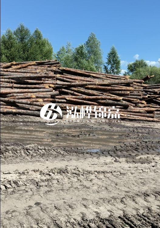 3米松木樁適合河道護(hù)坡嗎?小頭直徑8厘米的松木樁價(jià)格如何?