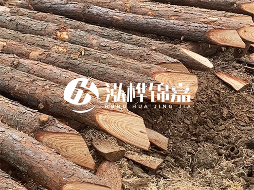 松木樁削尖的費用怎么算?按根收費還是包含在單價里?