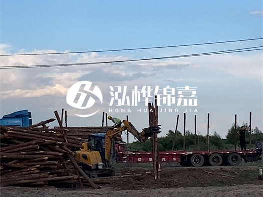 河北打樁木源頭廠家泓樺錦嘉 - 北方常用打樁木是什么?