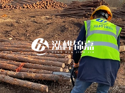 哪些木樁廠家能提供快速定制服務(wù)?哪些木樁廠家在國內(nèi)有多個生產(chǎn)基地?