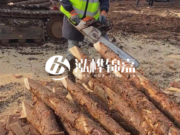 松木樁河道護坡怎么施工?打樁多少錢一根?