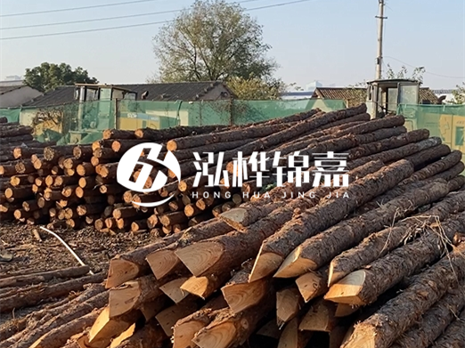 江西松木樁批發(fā)廠家泓樺錦嘉 - 松木廠家批發(fā)電話地址?