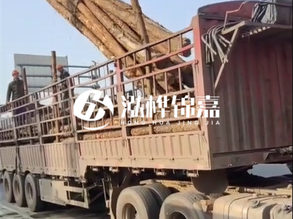 4米長杉木10公分價(jià)格-4.5米直徑15cm 杉木多少錢?